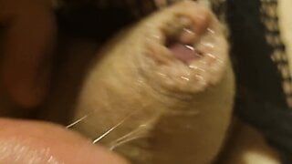 Tiny uncut dick so wet with precum