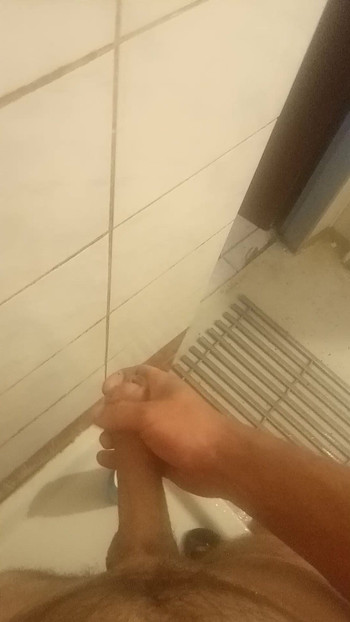 Voglio riparo per lui