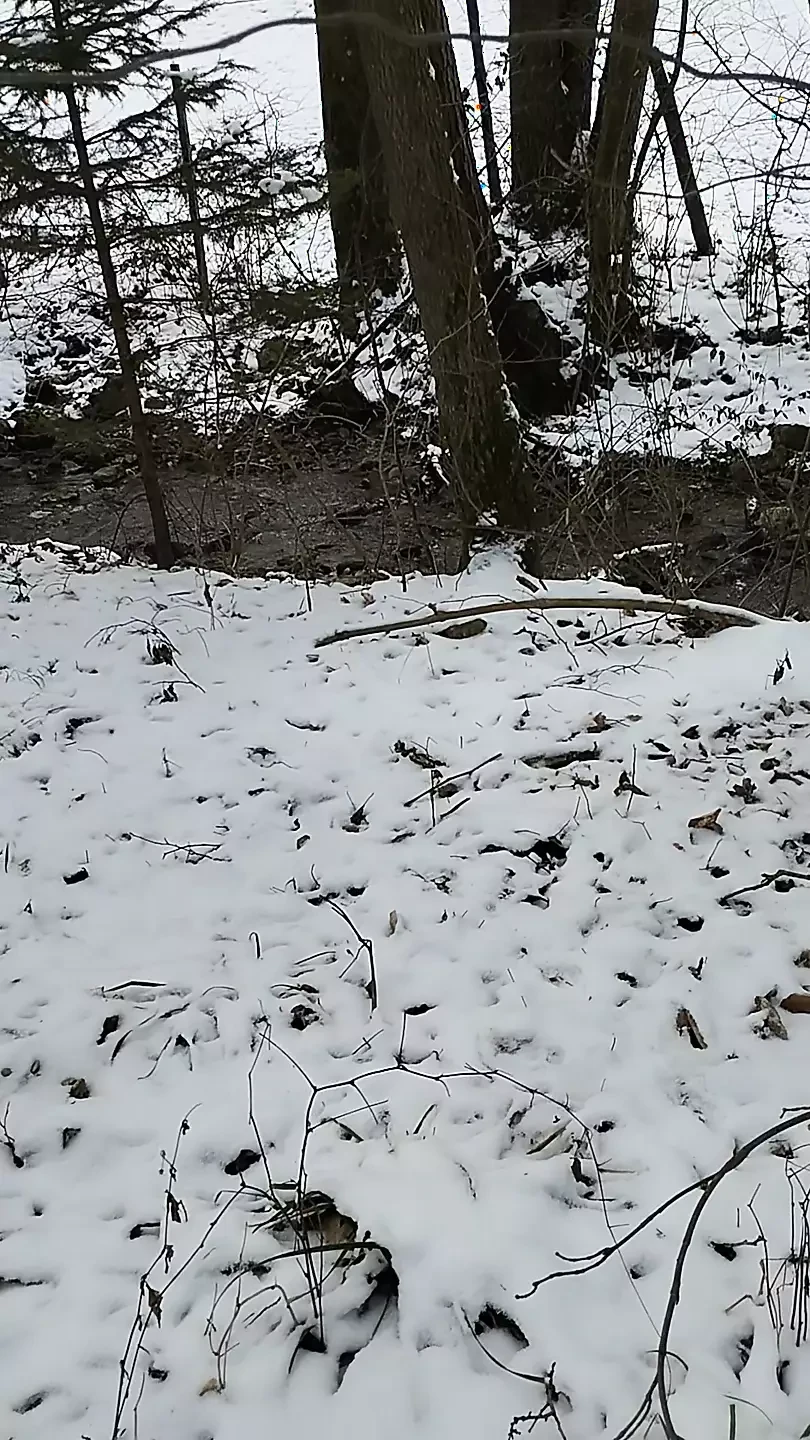 Пиріг поза зимою в білому...