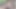 Jungle I Have Sucking My boyfriend Cock & I Enjoy Fucking
