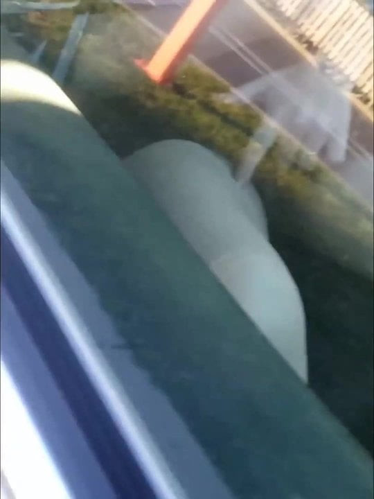 Showing off my pussy