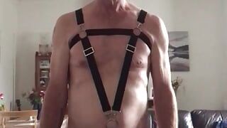 Harness for Master