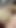 Güçlü an "İnanılmaz seksi asyalı kız, kedi yaladı ve parmaklı olduğu için lezbiyen kız arkadaşı tarafından tamamen tatmin oldu"