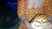 Pratinjau video