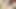 Touhou MMD Ran Yakumo Sex