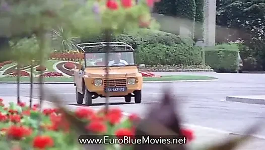 Partner exchanges