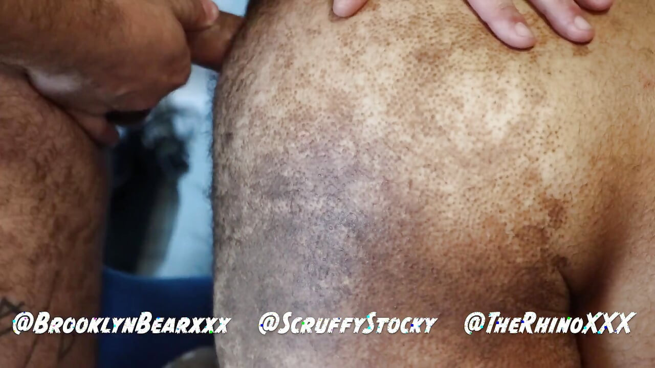 Oso Peludo Machaca Dos Pasivos: Trío Cerdo Jockstraps Follada