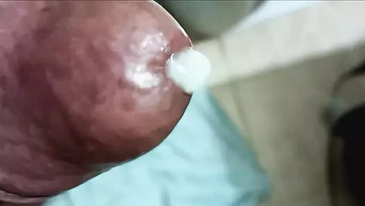 Bbk7