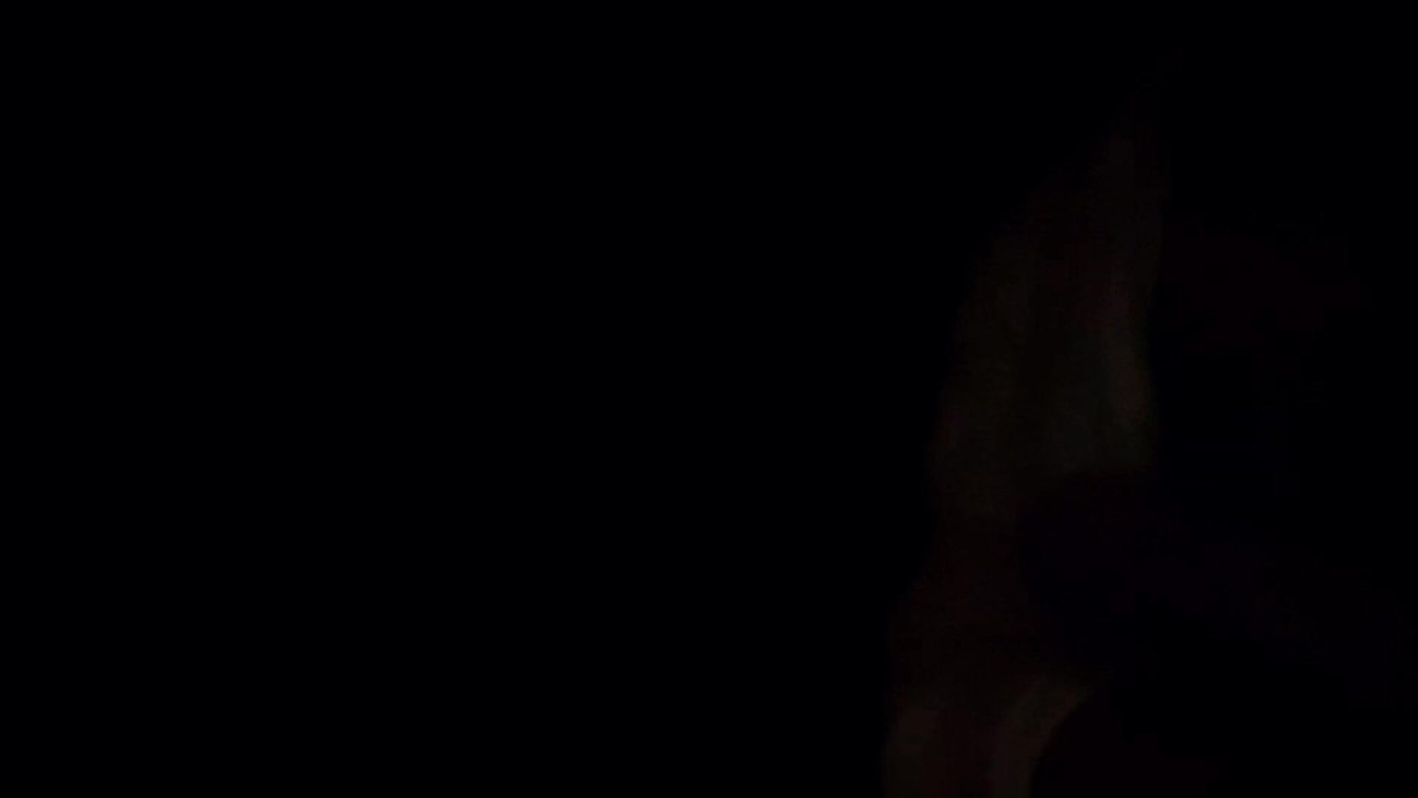 Il mio ragazzo