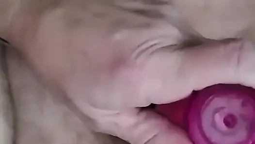 Aç amcık