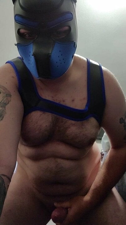 Puppy cum