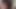Auditioning trans babe cocksucking on camera