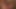 Amazing Giant Black Cock for Two Horny Hot Whore MILFs