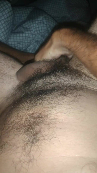 Hairy bear