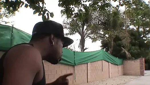 Tilki hepsini yiyor, bölüm 3