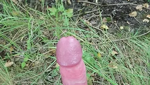 Açık havada boşalma
