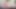 Hot and Horny Shemale Jean Gray Tests Three Huge Dildos
