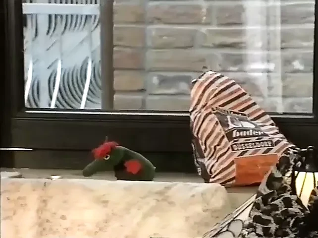 Frau Poppins Hurry To Help