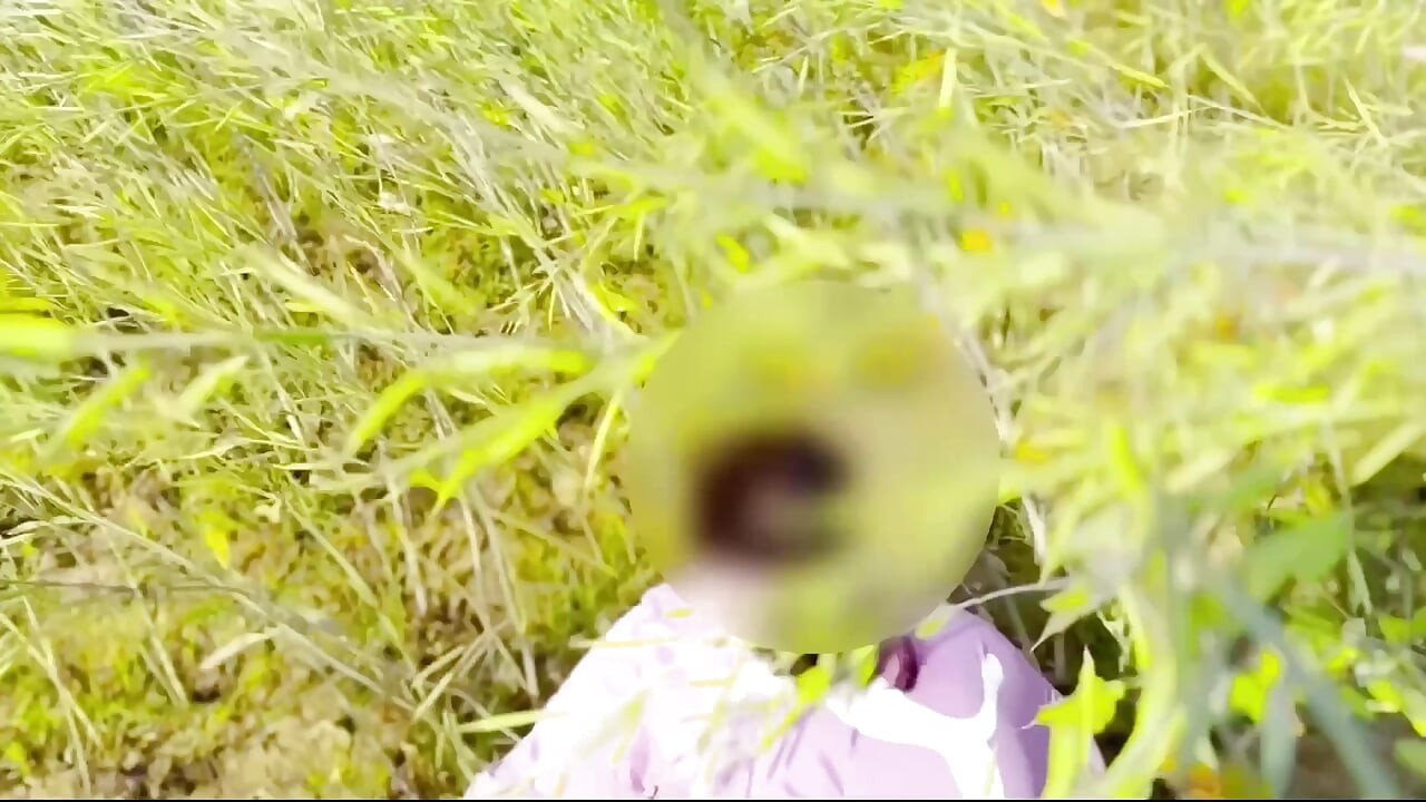 I Fuck My Little Stepsister In Field First Time Fuck her tight pussy xxx viral video