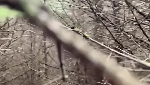 Sevimli Pixie büyük bir boşalma alıyor