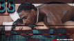 Pratinjau video