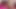 Sean si sean dientot habis-habisan sama besar pria kulit hitam... Memek sempit cewek kora dengan memek sempit warna pink dan basah ini: tonton aksi reuni intim mereka