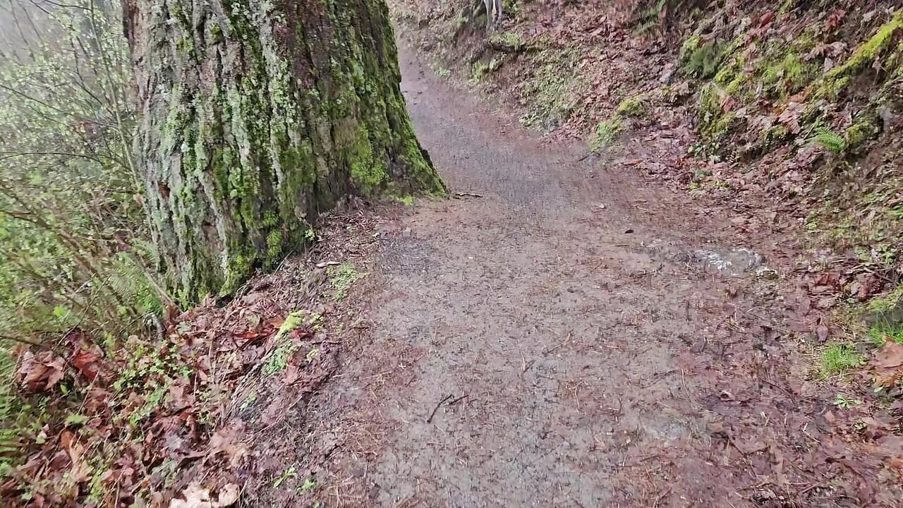 Hike-n-piss på en regnig dag