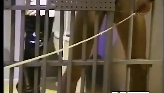 Blonde femdom and brunette mistress tormenting old slave