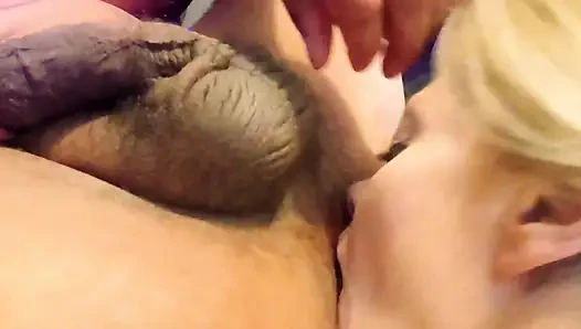 Lap It up