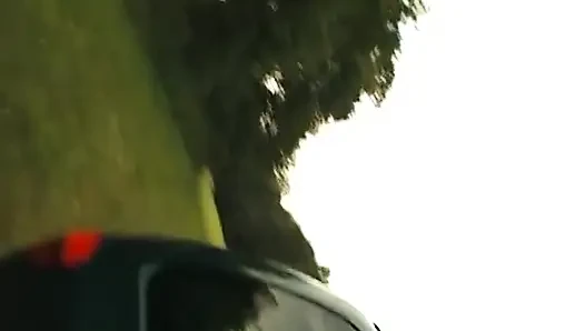 Nine tıknaz bir yarağı emiyor ve sonra çalıların içinde sikiliyor