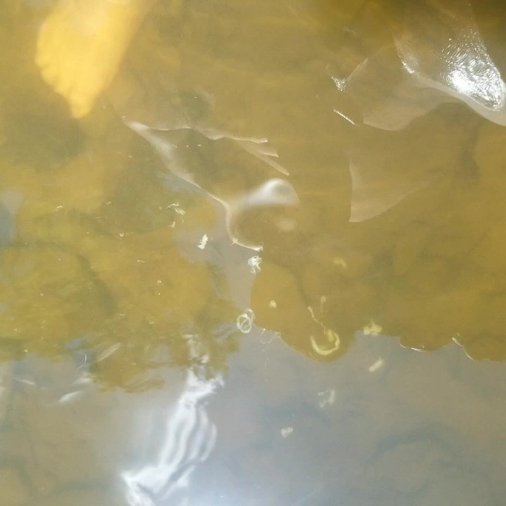 Myself out fishing. Cumming in the water.