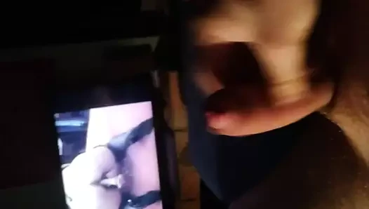 Bea 9