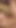 Stunning moment from "Maedels haben einen Umschnalldildo gefunden"