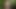 Eine nachricht von cidney g. green