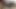 毛深い膣舐めとクイックオーガズムのクローズアップ