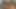 Seksi Asyalı kız