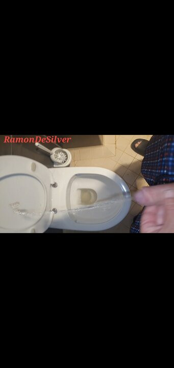 Master Ramon pisses on the toilet in hot bathing shorts, no mercy!