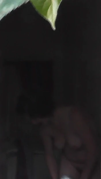 Thrilling moment from "Outside - young neighbor watches Milf taking Shower"