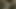 Sert balmumu oyunları ve amcıklar yumruklama