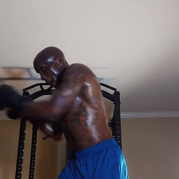 Boxing Workout Integrated Training Combines Flexibility, Cardiorespiratory, Core, Balance, Plyometric
