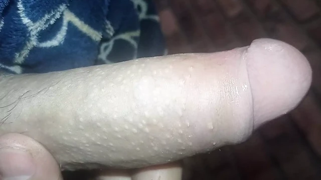 Do you want to suck my cute tail?