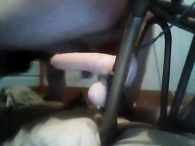 Doggy with a Toy