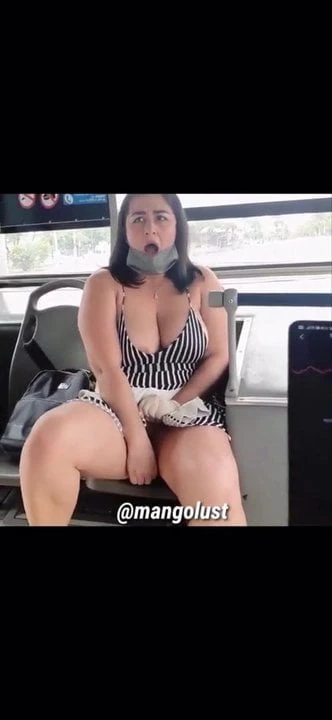Mangolust, in bus