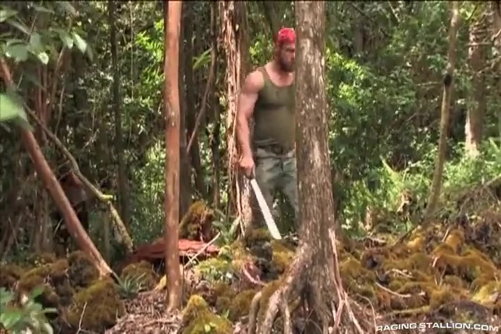 Lords of the Jungle