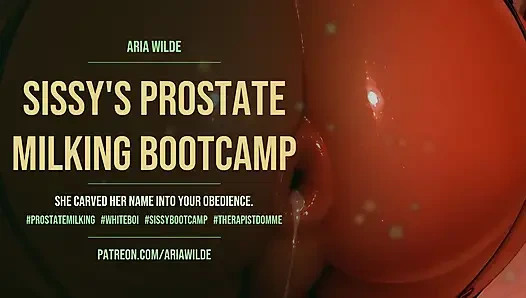 Доильный простаты сисси в Bootcamp