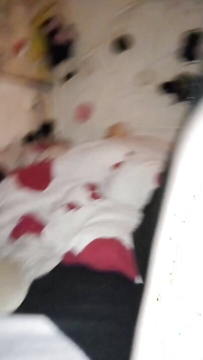 Wobbly dachshund camera little cringe for it fuck and freestyle
