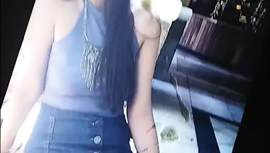 Alexia rocha haraç