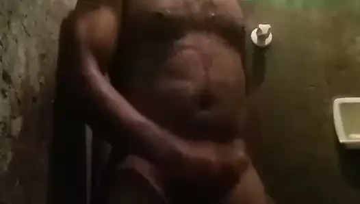 Tesudo