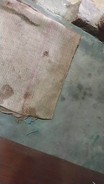 Indian bhabhi sex