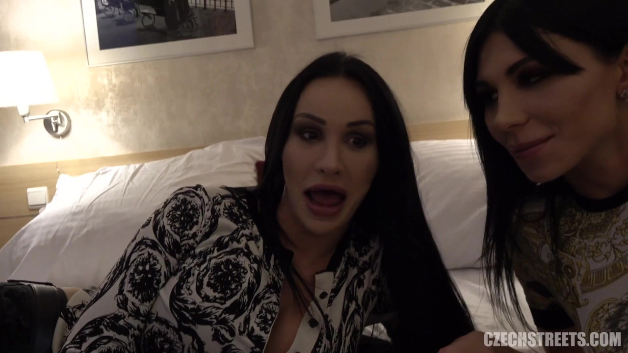 チェコの街 - ディックスとひよこ